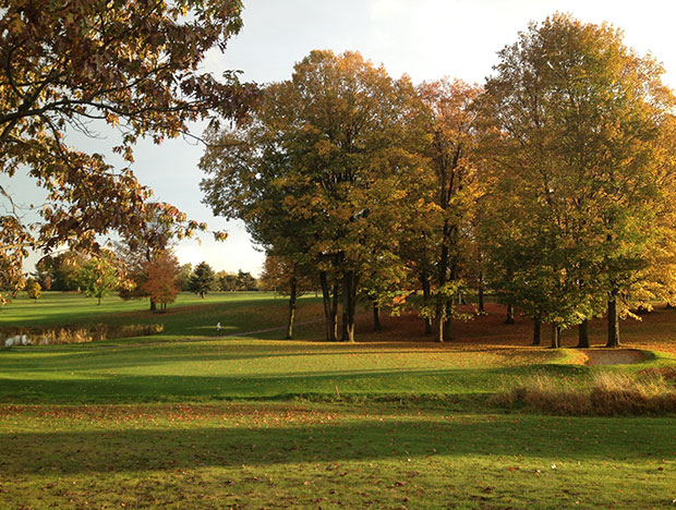 Homepage Missaukee Golf Club