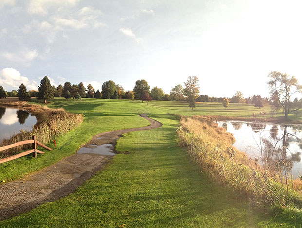 Homepage Missaukee Golf Club